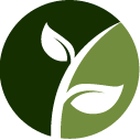Evergreen Cutting Pros