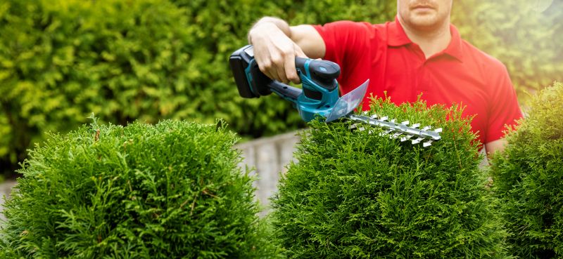 Evergreen Cutting