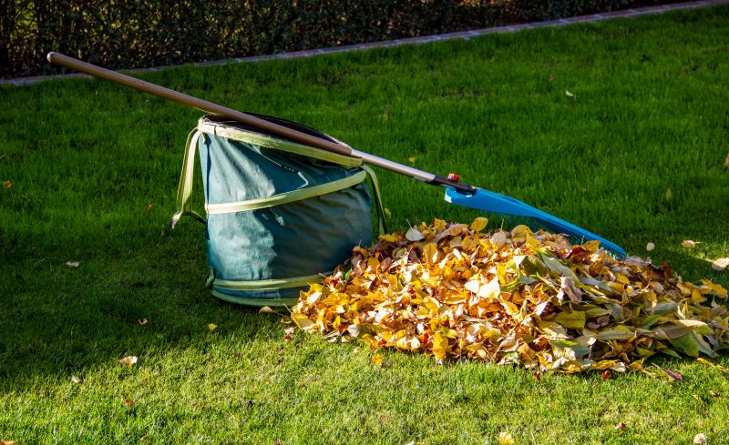 Proper Leaf Disposal