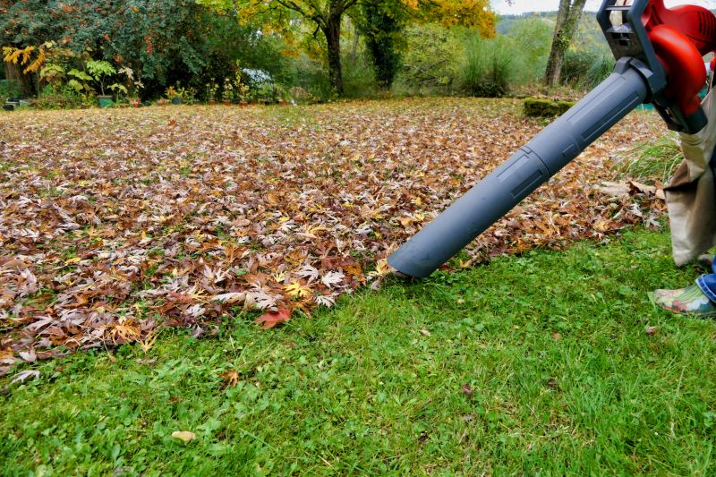 Fall Lawn Maintenance Tools