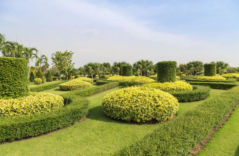 Trimmed Shrubs Showcase